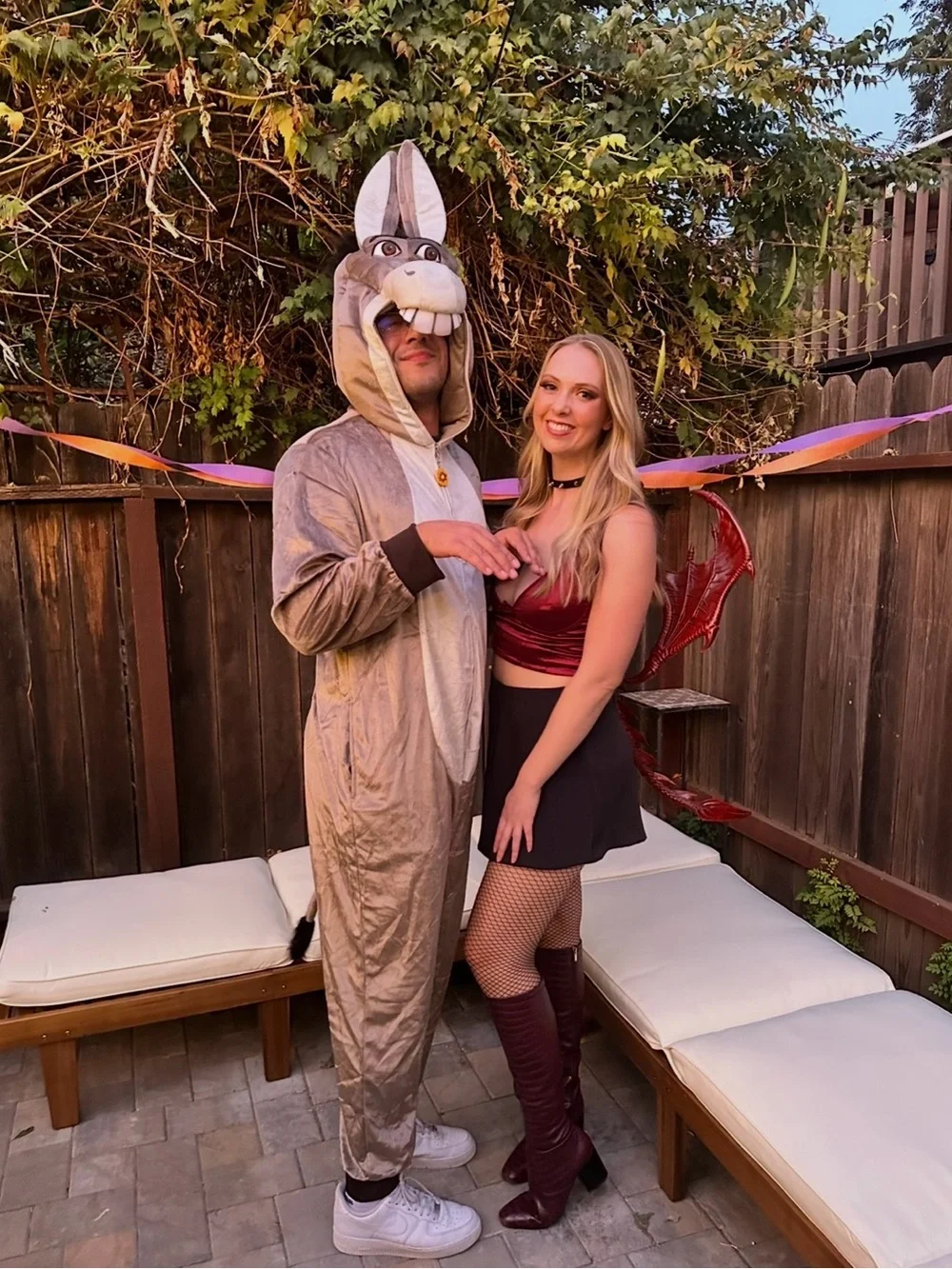 Halloween Dragon and Donkey Costumes from Shrek!